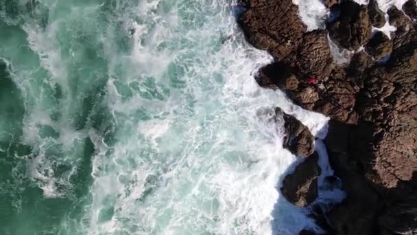 Extreme Swimmers Jump Cliffs Ocean — Stock Video