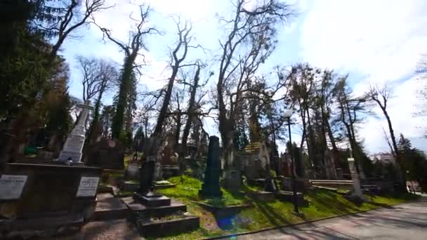 Tumbas Tumbas Cementerio Hermoso Cementerio Con Árboles Sin Hojas Lychakiv — Vídeo de stock