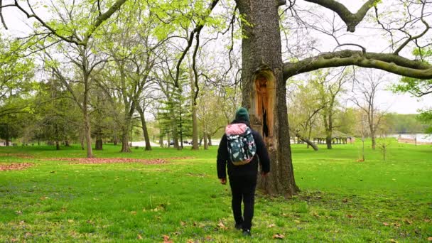 Ensam Kille Med Ryggsäck Utforska Träd Hålighet Parken — Stockvideo