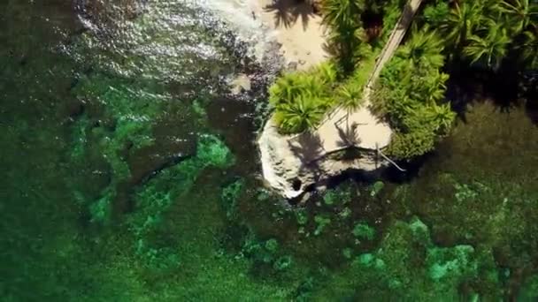 Aerial Photo Manzanillo Beach Costa Rica Tropical Beach Vegetation Beach — Video