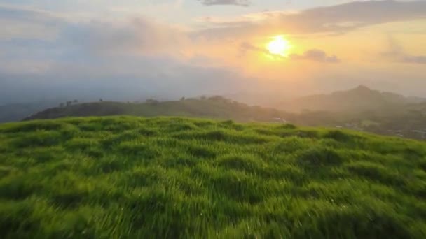 Coucher Soleil Travers Herbe Tapis Paysage Sont Comme Des Images — Video