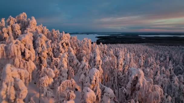 从空中俯瞰积雪覆盖了芬兰湖泊和北部荒野的树木 — 图库视频影像