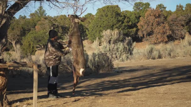 Hunter Begins Process His Buck Kill — Vídeo de Stock