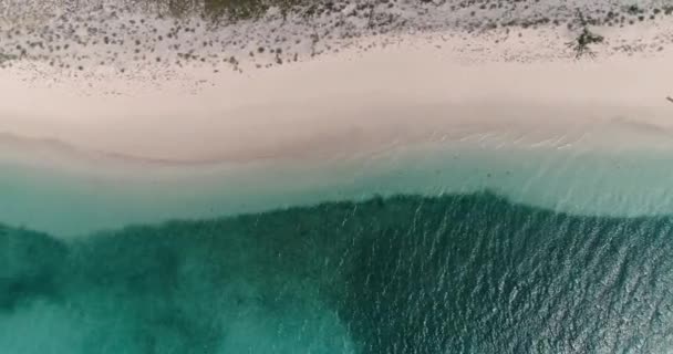 Top View White Sand Beach Turquoise Sea Boat Los Roques — Stockvideo