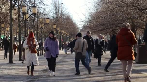 Ludzie Chodzą Parku Kungstradgarden Wiosną Sztokholm Szwecja — Wideo stockowe