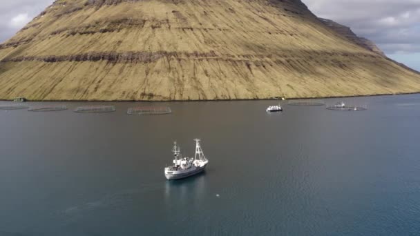 Barche Pesca Presso Gli Allevamenti Ittici Vicino Alla Città Klaksvik — Video Stock