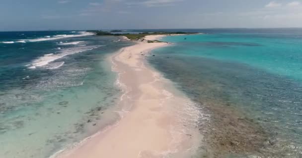 Las Aves Vuelan Isla Caribeña Las Olas Chocan Playa Arena — Vídeo de stock