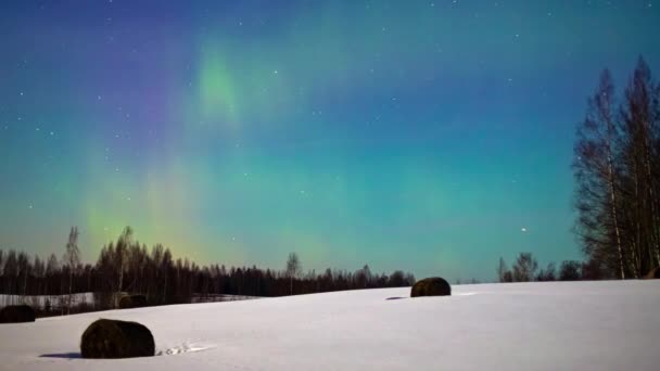 Paesaggio Invernale Con Bel Cielo Stellato Nella Notte — Video Stock