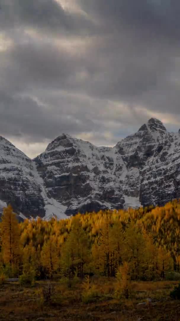 加拿大班夫国家公园冰天雪峰和落叶松谷上空垂直移动的4K时差 戏剧性的乌云 — 图库视频影像