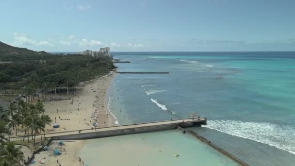 Aerial View People Relaxing Waikiki Beach Beautiful Sunny Day — Stock Video