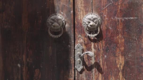 Traditional Dragon Head Chinese Style Door Handles — 비디오