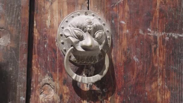 Closeup Traditional Dragon Head Chinese Style Door Handle — 비디오