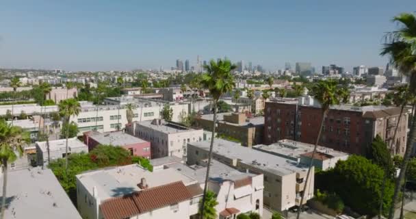 Πετώντας Μέσω Palm Tree Επένδυση Γειτονιά Προς Downtown Los Angeles — Αρχείο Βίντεο