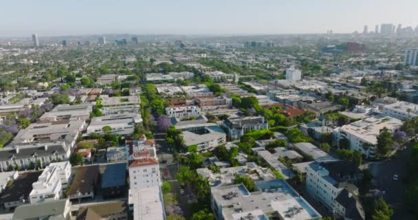 晴れた日にカリフォルニア州ロサンゼルスの住宅街の上空での航空写真 — ストック動画