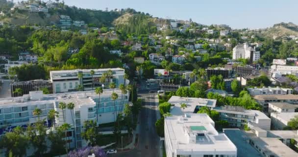 Letecký Záběr Létání Nad Hollywoodskými Kopci Svěží Zelené Stromy Luxusní — Stock video