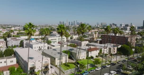 Aerial Drone Shot Tree Lined Los Angeles Streets Apartment Rooftops — 비디오