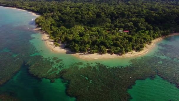 Praia Punta Uva Com Coral Característico Costa Rica — Vídeo de Stock