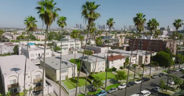 Aerial Drönare Skott Palm Tree Lined Street Los Angeles Grannskap — Stockvideo