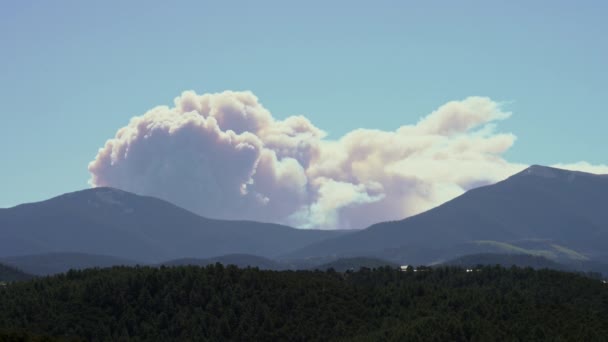 新墨西哥州山上的小牛峡谷隐居的山顶野火烟雾 — 图库视频影像