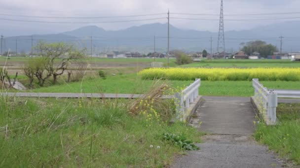 Campagna Rurale Toyosato Prefettura Shiga Giappone Campo Nanoha Fiori — Video Stock