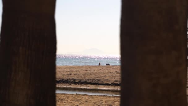 Interesante Vista Playa Entre Dos Árboles Hacia Las Personas Océano — Vídeos de Stock