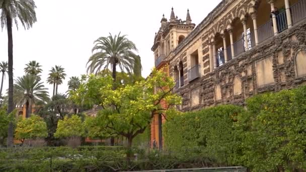 Slow Motion Reveal Seville Gardens Few People Walking — Video Stock
