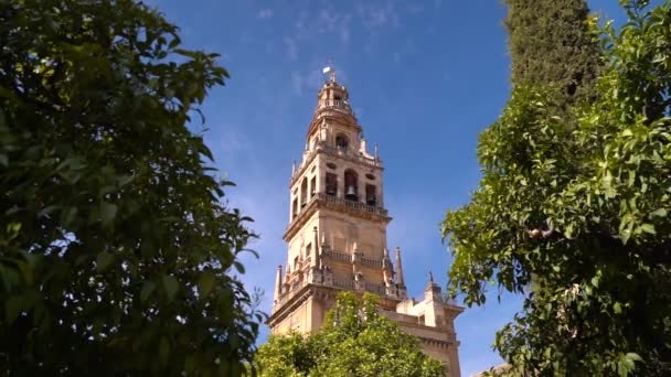 Left Right Pan Trees Old Church Tower Blue Sky — Stock Video