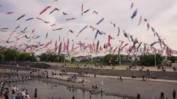 Los Japoneses Reúnen Parque Para Semana Dorada Carpa Streamers River — Vídeos de Stock