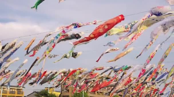 Koi Karpfen Fliegen Bei Sonnenuntergang Akutagawa Sakurazutsumi Park — Stockvideo