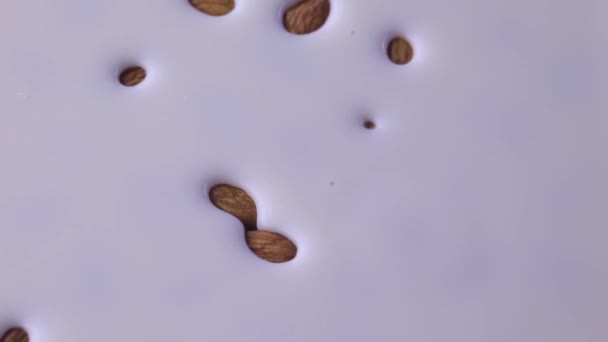 Мигдальні Горіхи Виходять Молока Sfx Кліп Використання Харчових Горіхових Або — стокове відео