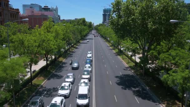 Vehicles Drive Castellana Street Sunny Day Madrid Spain — Stock Video