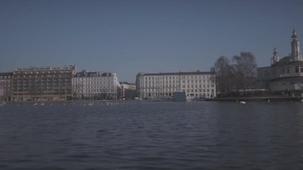 Gebouwen Aan Het Water Kopenhagen Met Verkeer Watervogels 60Fps — Stockvideo