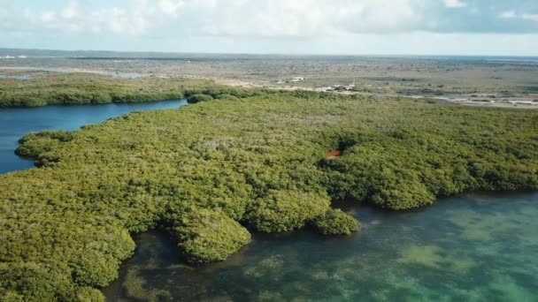 Bela Vista Aérea Dos Manguezais Bonaire Caribe Holandês América Sul — Vídeo de Stock