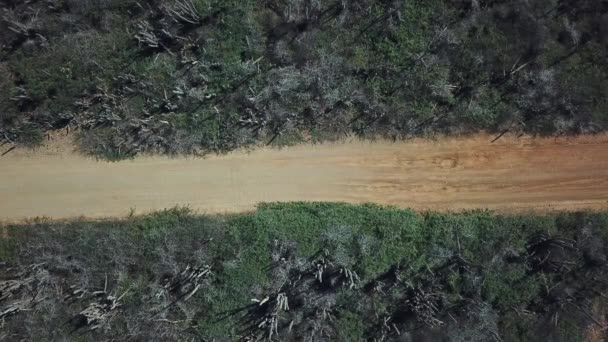 Vista Cima Carro Branco Que Viaja Longo Lado Leste Bonaire — Vídeo de Stock