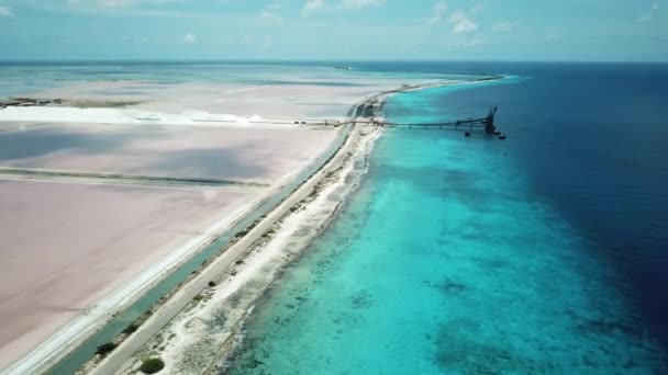 Static Aerial Drone View Salt Pans Bonaire Dutch Caribbean South — Stock Video