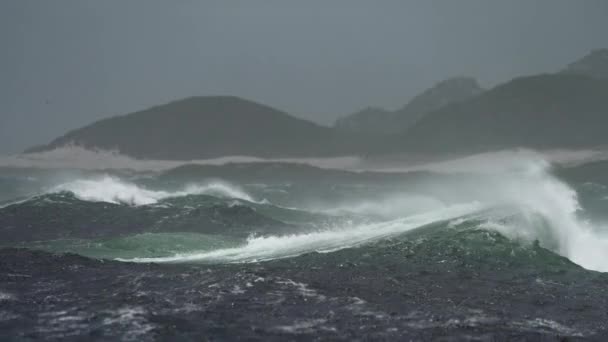 Ondas Oceânicas Poderosas Batendo Perto Cabo Boa Esperança África Sul — Vídeo de Stock