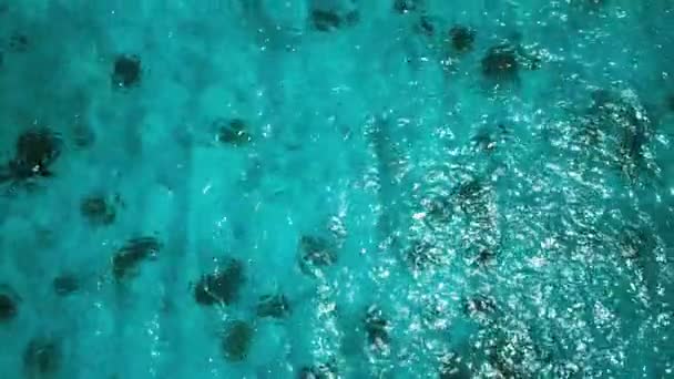 Divers Seen Drone Beautiful Blue Green Sea — Wideo stockowe