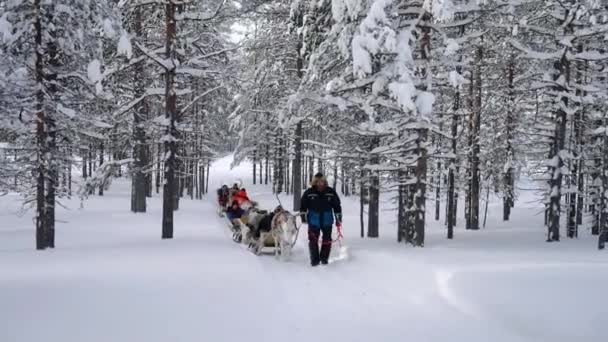 Människor Rensläde Rider Genom Snöig Skog Vinteraktivitet Muonio Lappland Finland — Stockvideo