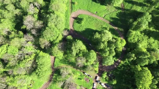 Auto Rijdt Vuil Racecircuit Tussen Bomen Bovenaanzicht Vanuit Lucht — Stockvideo