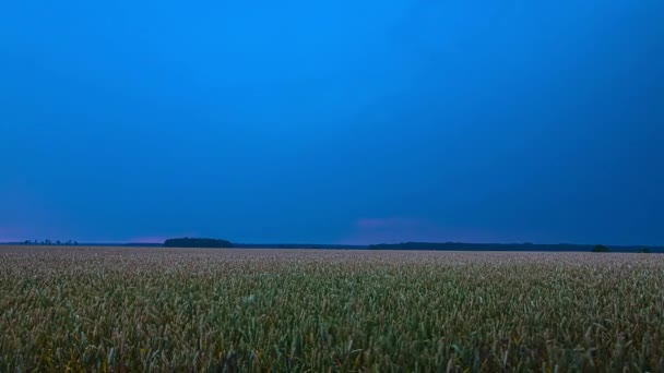 Statiskt Skott Över Grön Jordbruksmark Med Blixtnedslag Mörka Åska Moln — Stockvideo