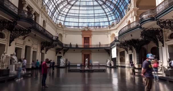 Santiago Chile Novembro 2021 Calendário Museu Nacional Belas Artes Chile — Vídeo de Stock
