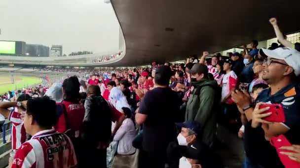 Personas Emocionadas Celebrando Victoria Del Fútbol Liga Femenina Estadio Ciudad — Vídeos de Stock