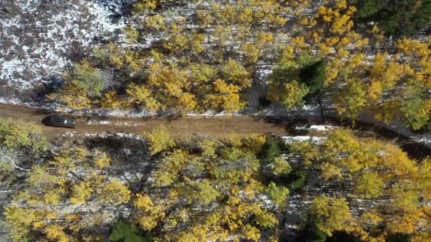 Top Clipe Drone Lado Lado Dirigindo Através Floresta Com Cores — Vídeo de Stock