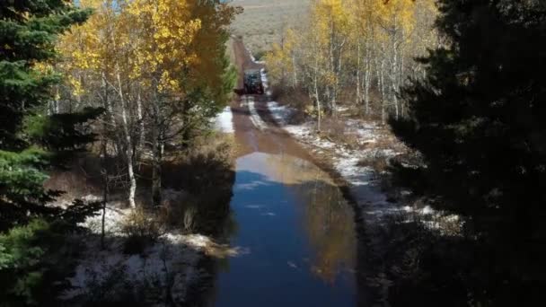 Drone Clip Fianco Fianco Guida Attraverso Foresta Una Strada Sterrata — Video Stock