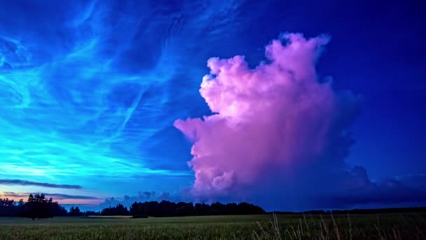 夏末时分 农村农田上空低角的蓝色夜光云拍击着 — 图库视频影像