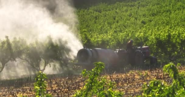 Farmer Tractor Sprays Chemicals Fruit Orchard Trees Zoomed Aerial Slow — Vídeo de Stock