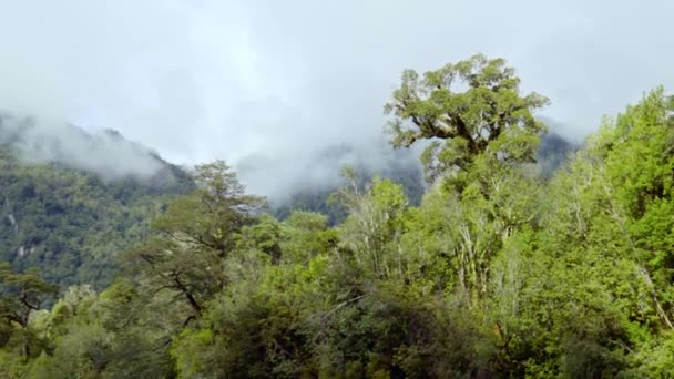 Panorama Mano Derecha Las Nevadas Brumosas Montañas Del Parque Nacional — Vídeo de stock