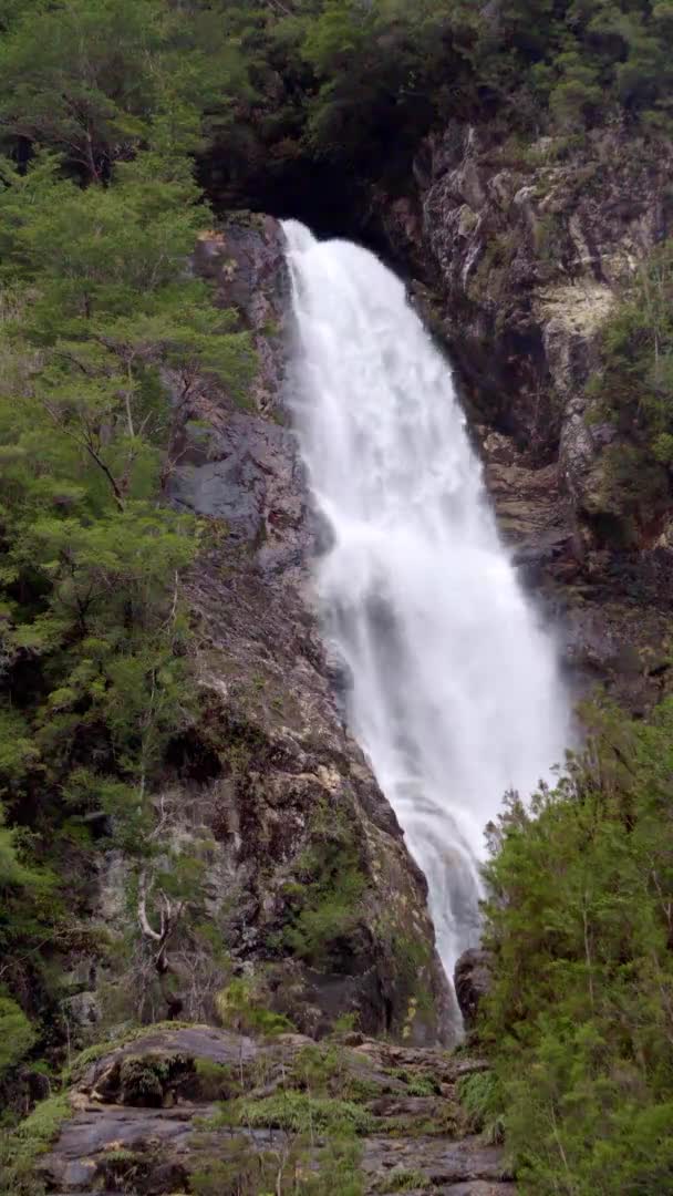 Vista Vertical Detallada Cascada Del Río Blanco Parque Nacional Hornopiren — Vídeos de Stock