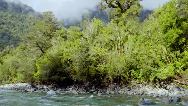 Panning Portatile Destra Del Rio Blanco Nel Parco Nazionale Hornopiren — Video Stock