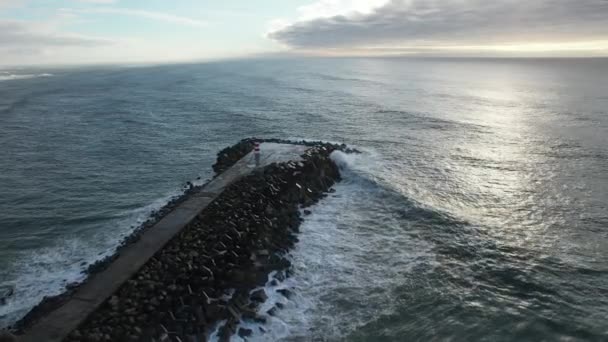 Golven Crashen Kust Luchtfoto — Stockvideo